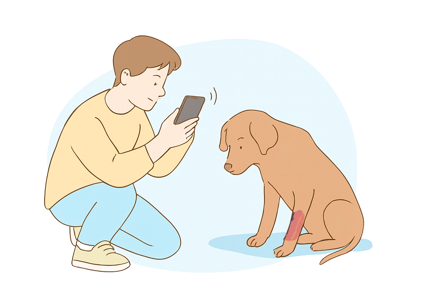 Person reporting an injured dog