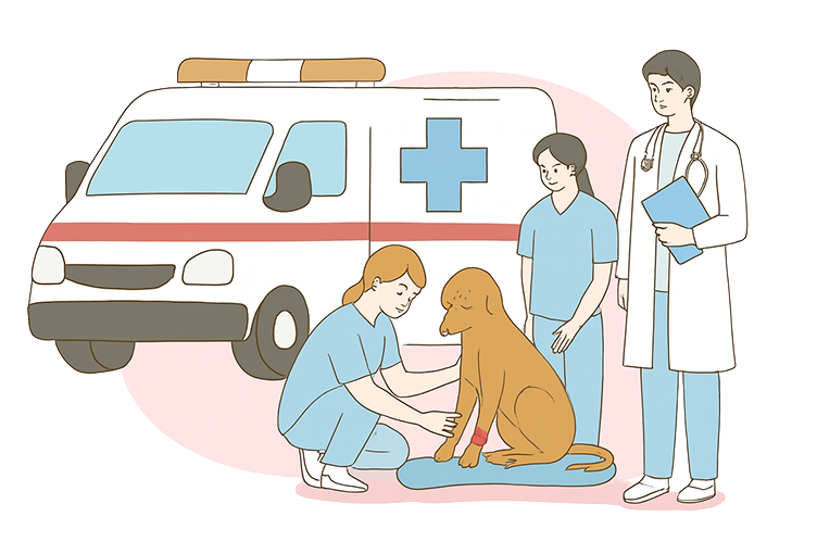 Rescue team helping dog